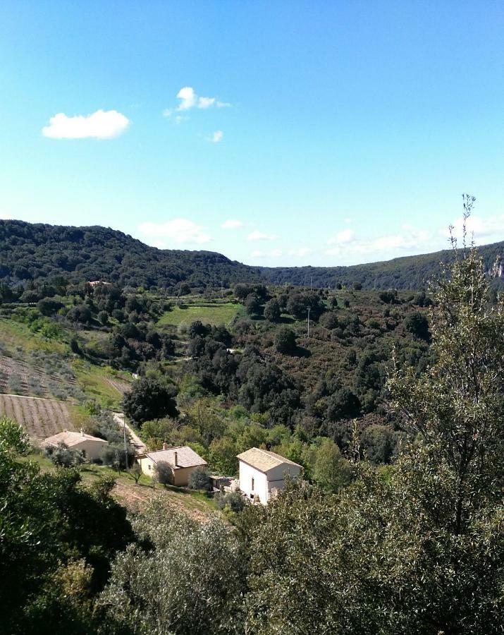 Stellaria Casa Vacanze In Montagna Panorama Stupendo Sardegna Seulo Exterior photo